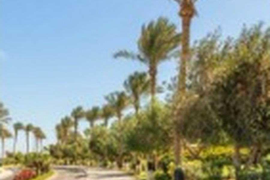 Palm Springs, Florida