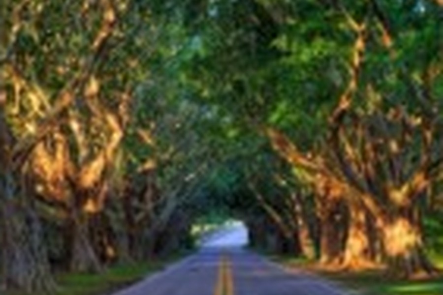 Hobe Sound, Florida